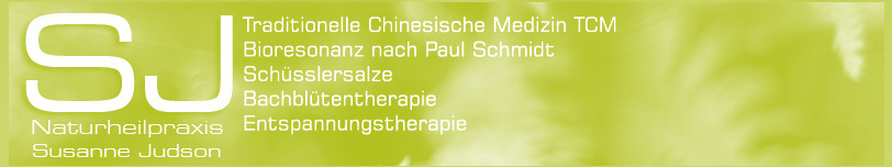 Traditionelle chinesische Medizin, TCM, Bioresonanz nach Paul Schmidt, Schüsslersalze, Bachblütentherapie, Entspannungstherapie